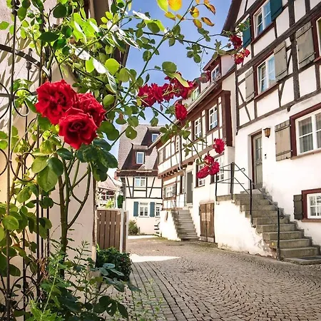 Ein Ganzes Haus Für Sich Allein In Biberach * Biberach an der Riß